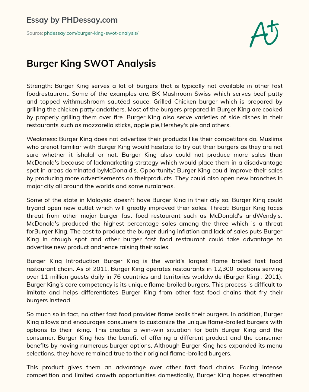 Burger King SWOT Analysis essay