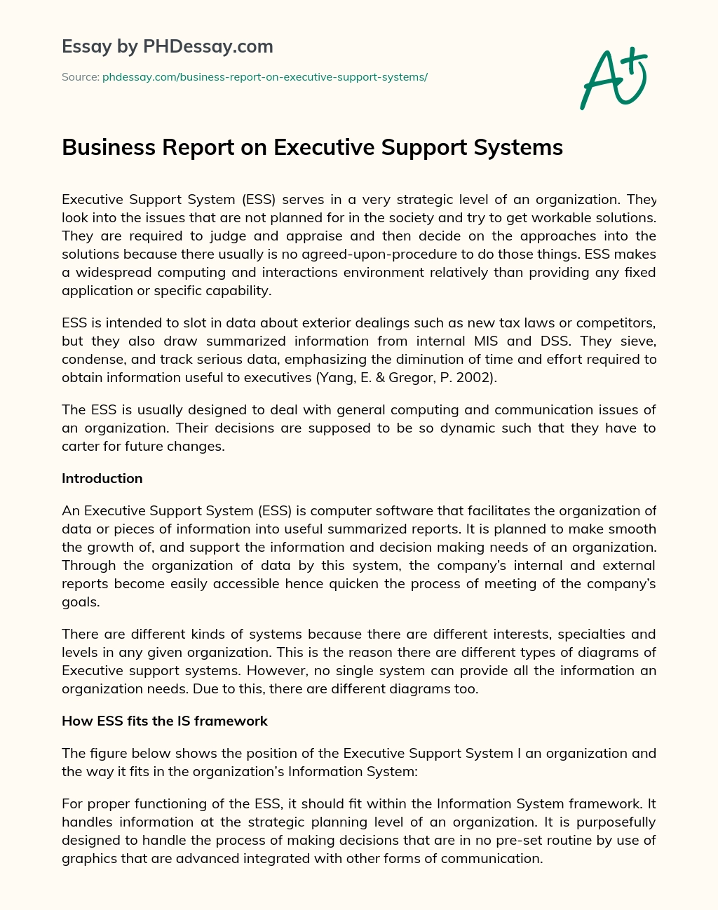 Business Report on Executive Support Systems essay