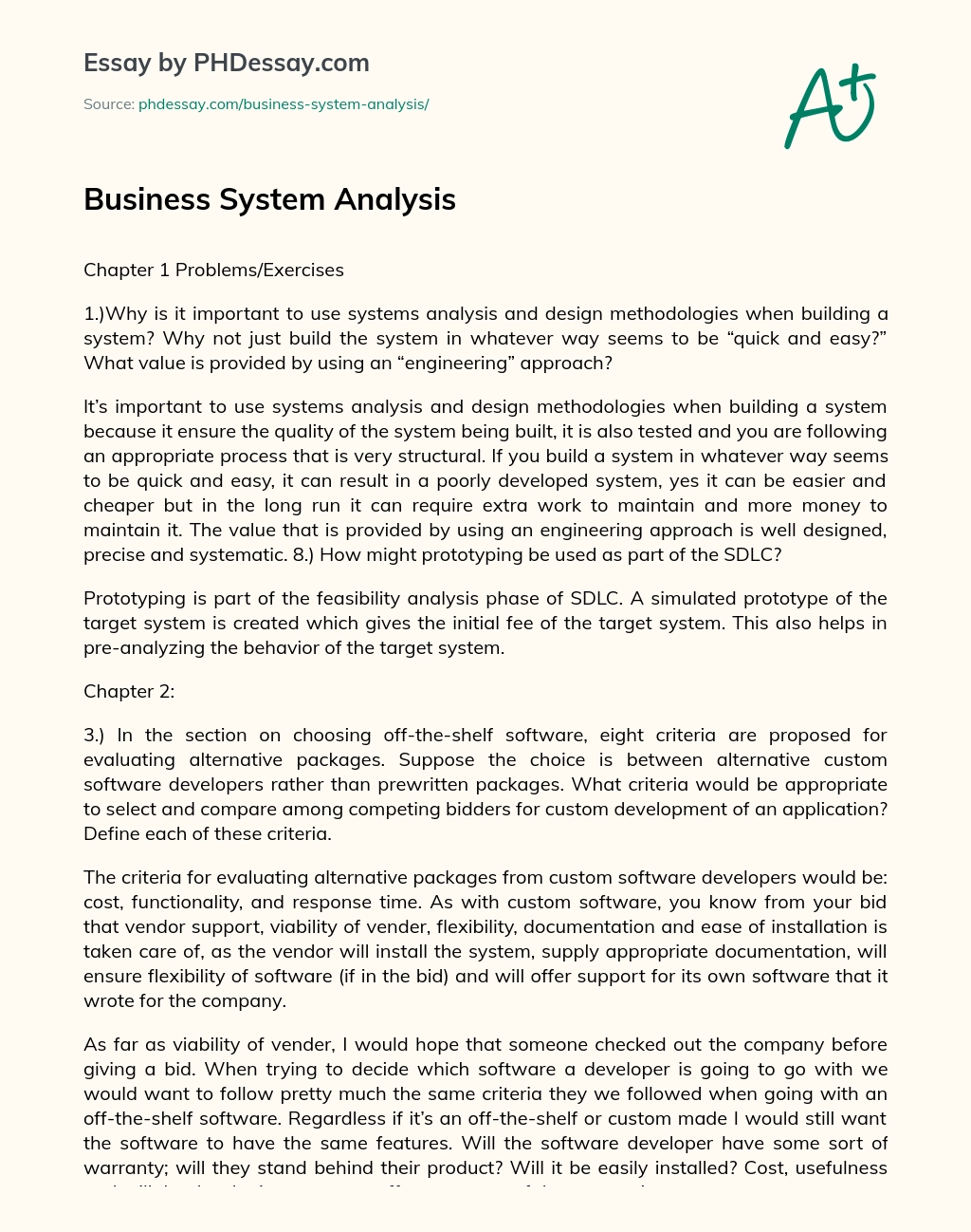 Business System Analysis essay