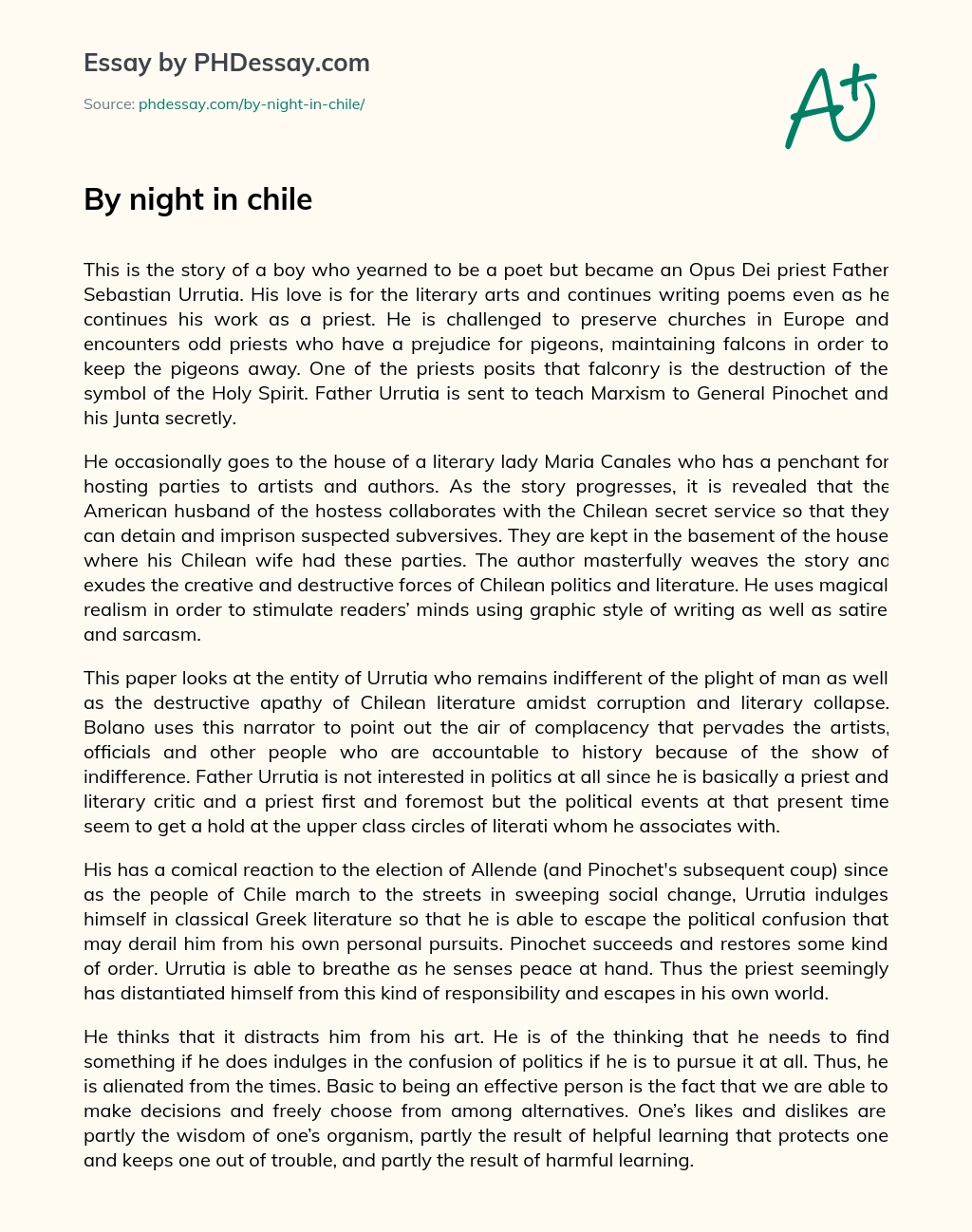 By night in chile essay