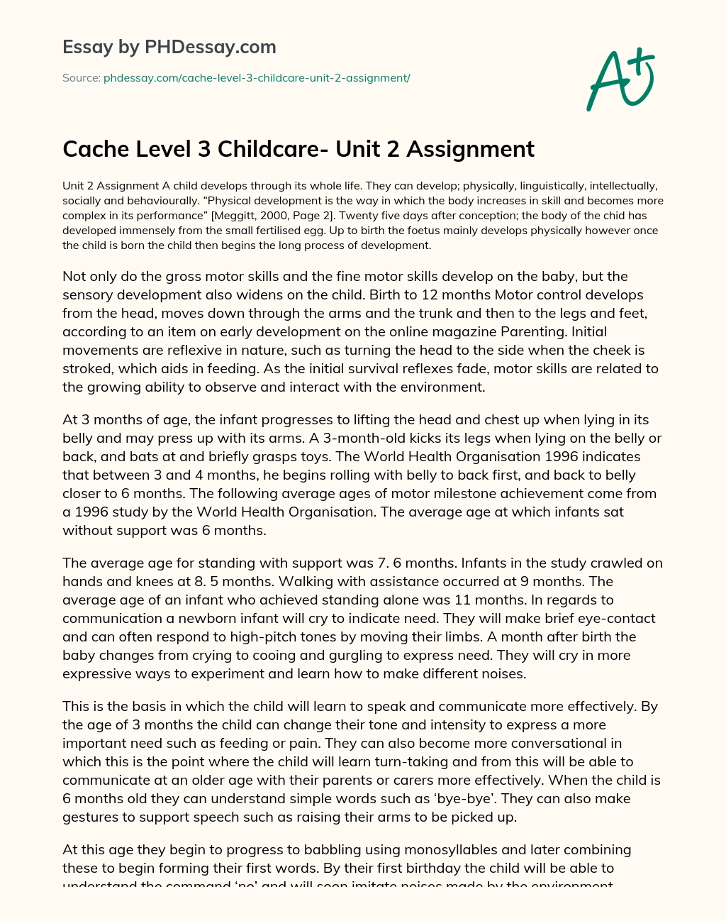 Cache Level 3 Childcare- Unit 2 Assignment essay
