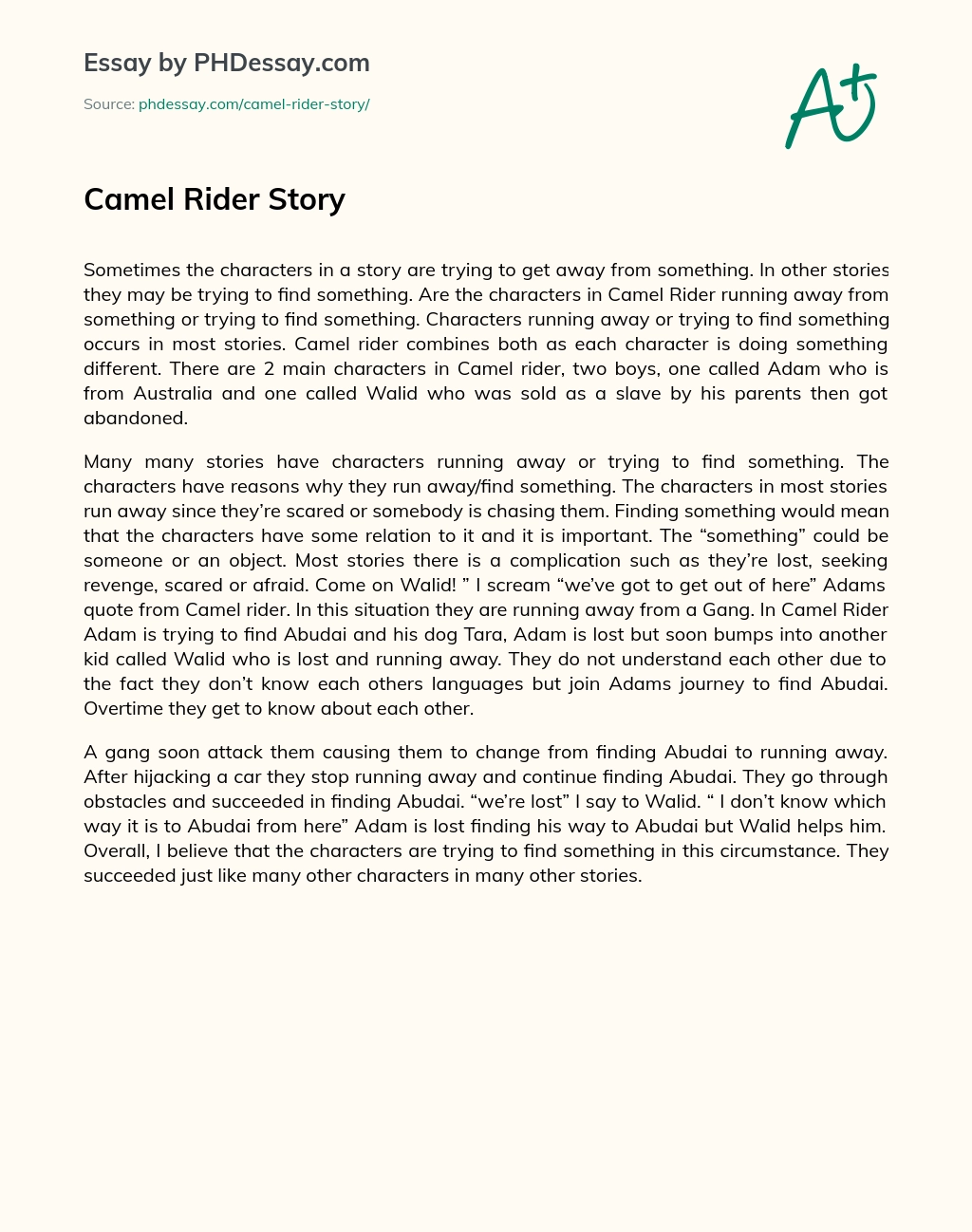 Camel Rider Story essay