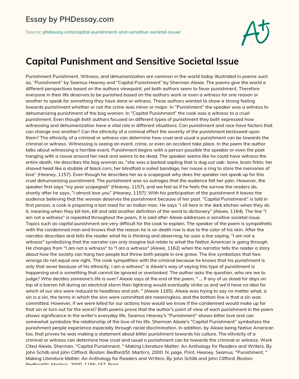Capital Punishment and Sensitive Societal Issue essay