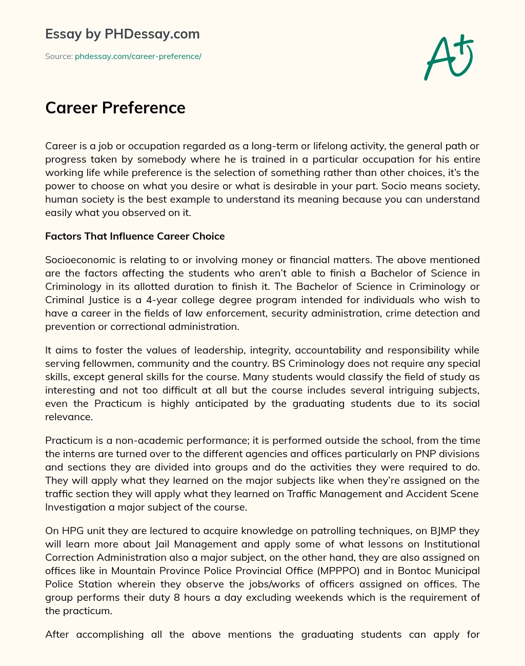 Career Preference essay