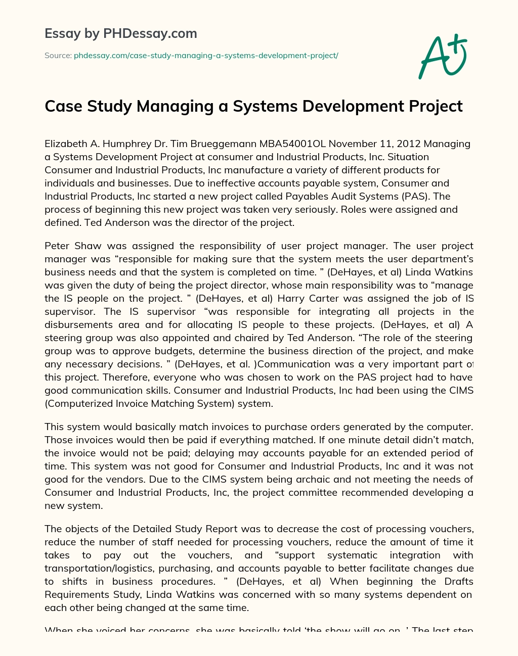 Case Study Managing a Systems Development Project essay