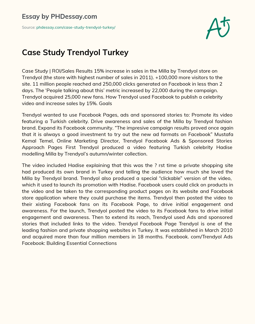 Case Study Trendyol Turkey essay