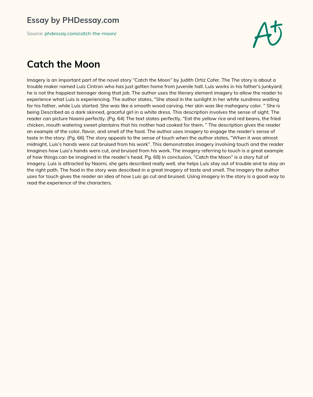 catch the moon short story
