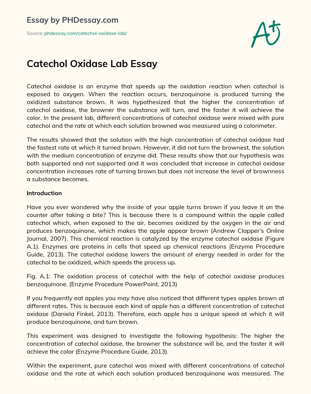 Catechol Oxidase Lab Essay essay