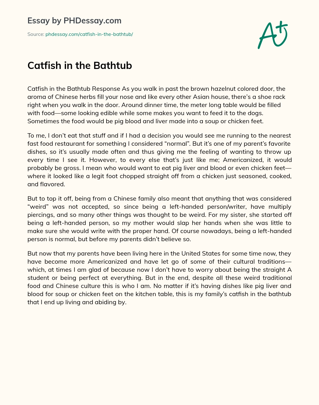 Catfish in the Bathtub essay
