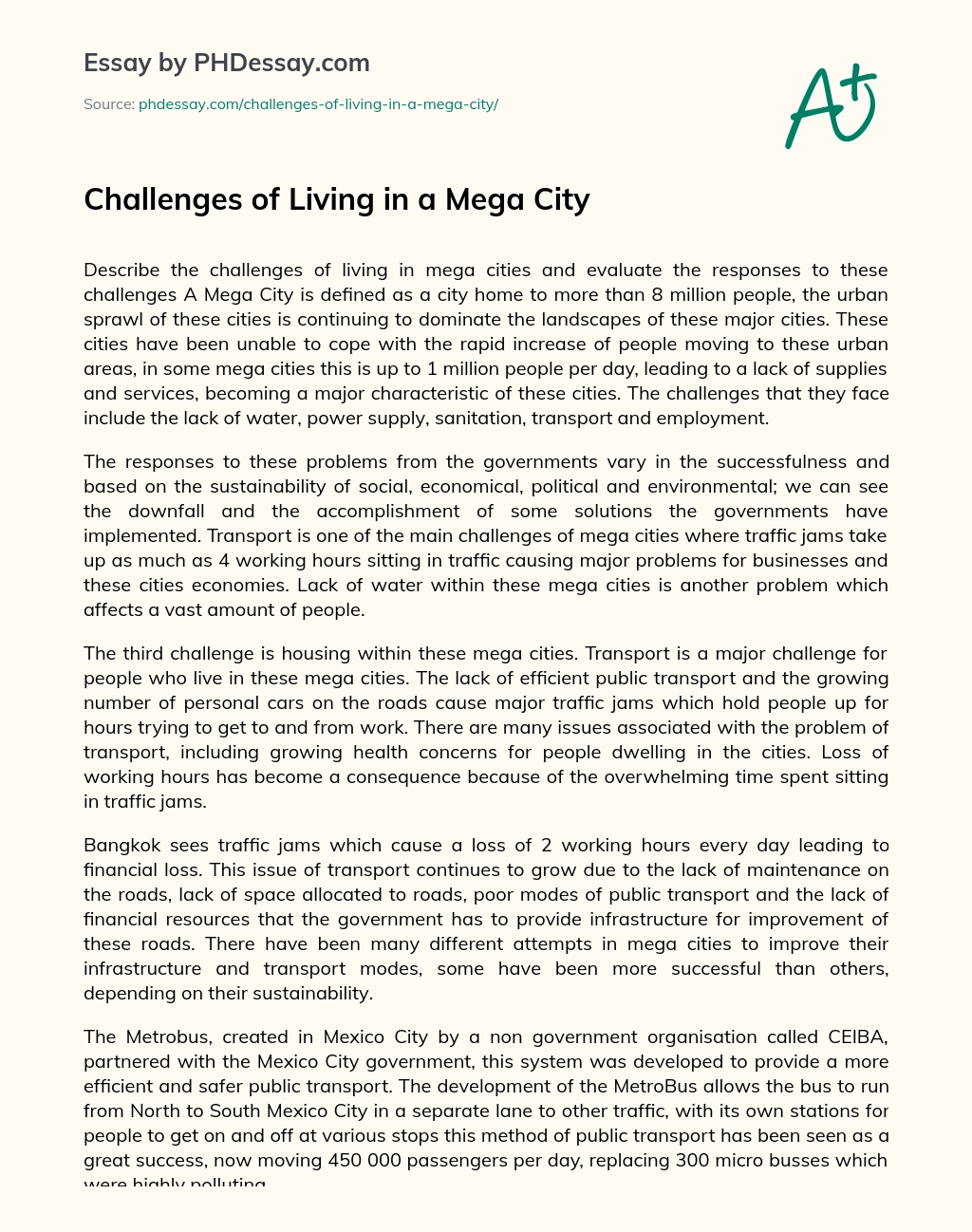 Challenges of Living in a Mega City essay