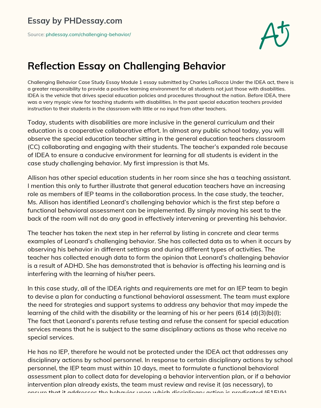 Reflection Essay on Challenging Behavior essay