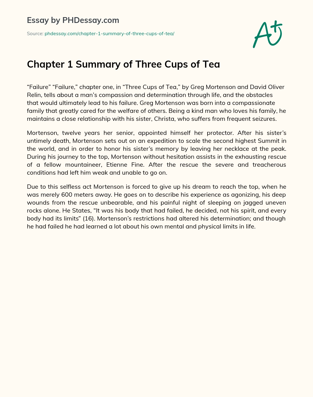 Chapter 1 Summary of Three Cups of Tea essay