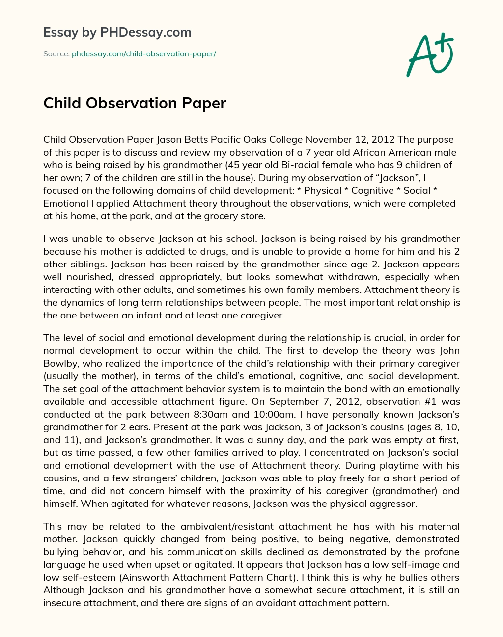 Child Observation Paper essay