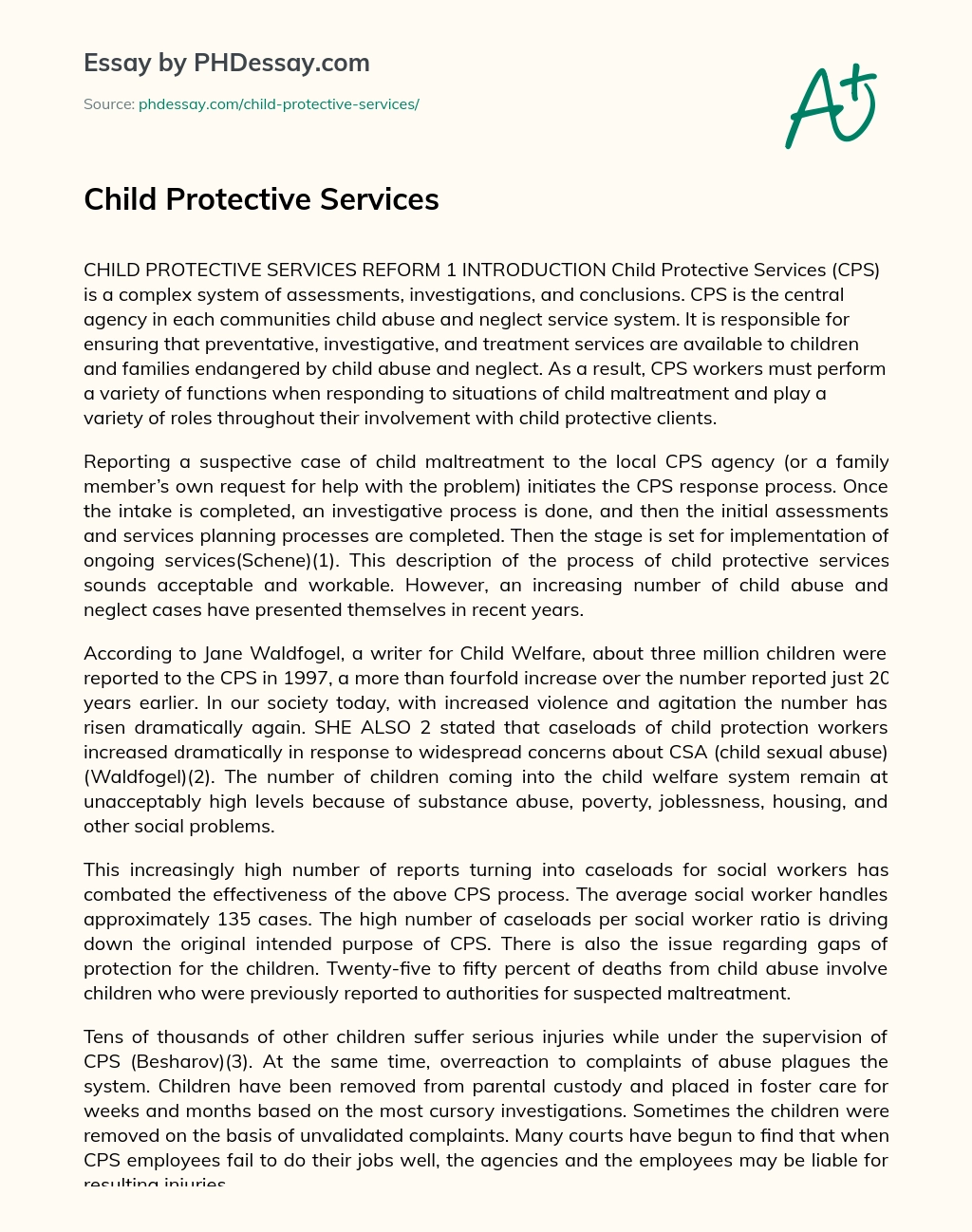 Child Protective Services essay