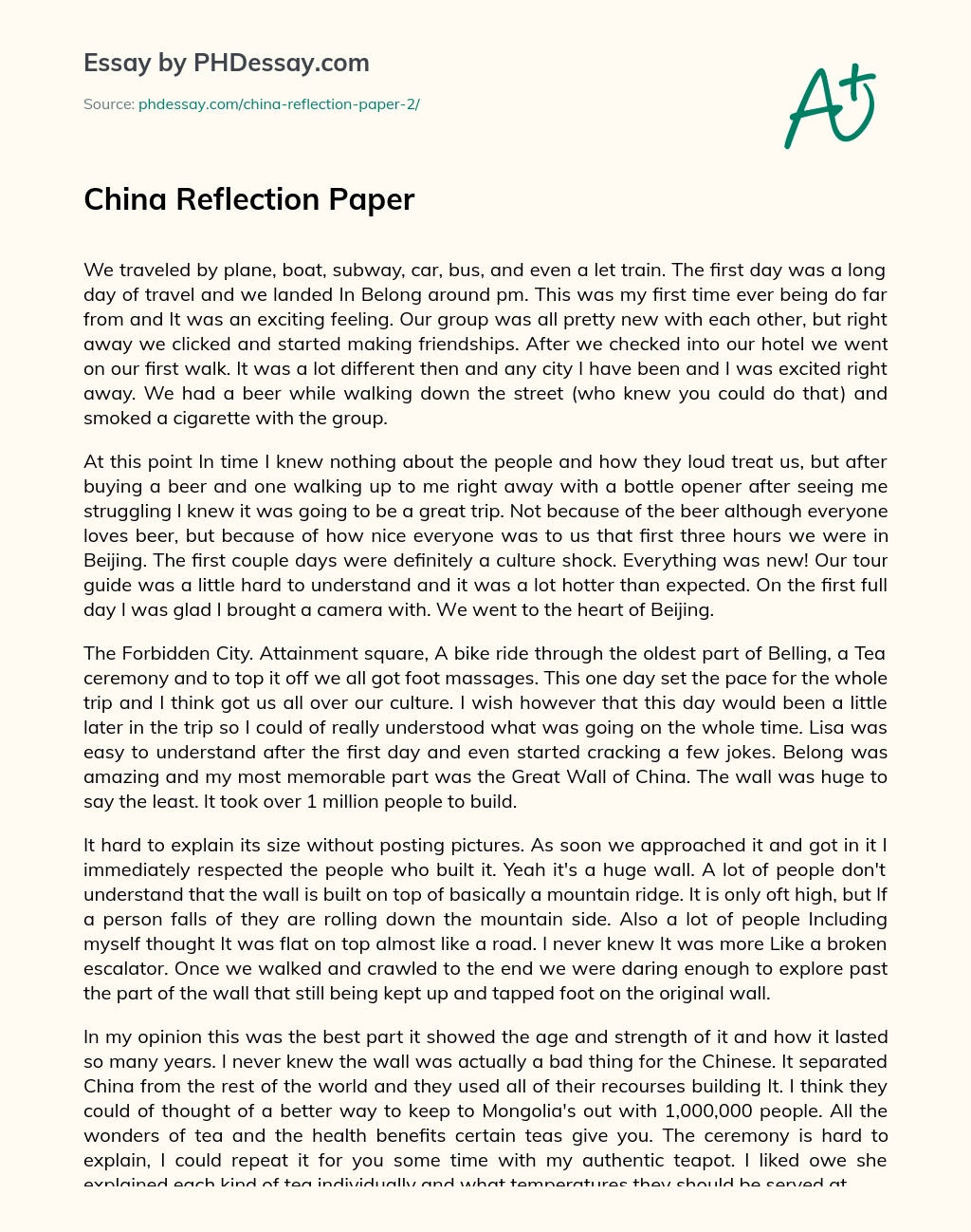China Reflection Paper essay
