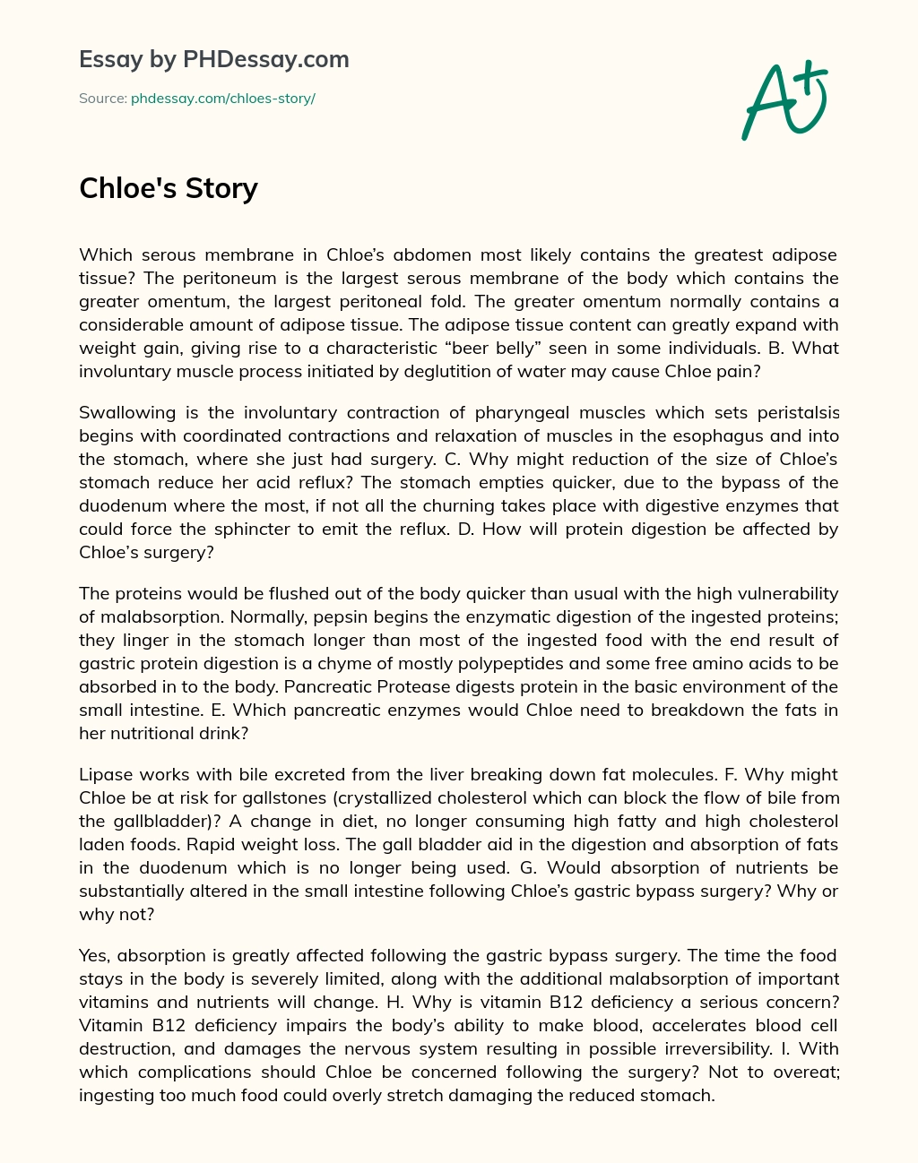 Chloe’s story essay