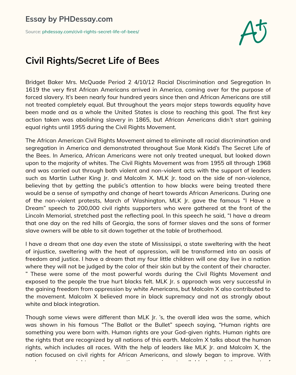 Civil Rights/Secret Life of Bees essay