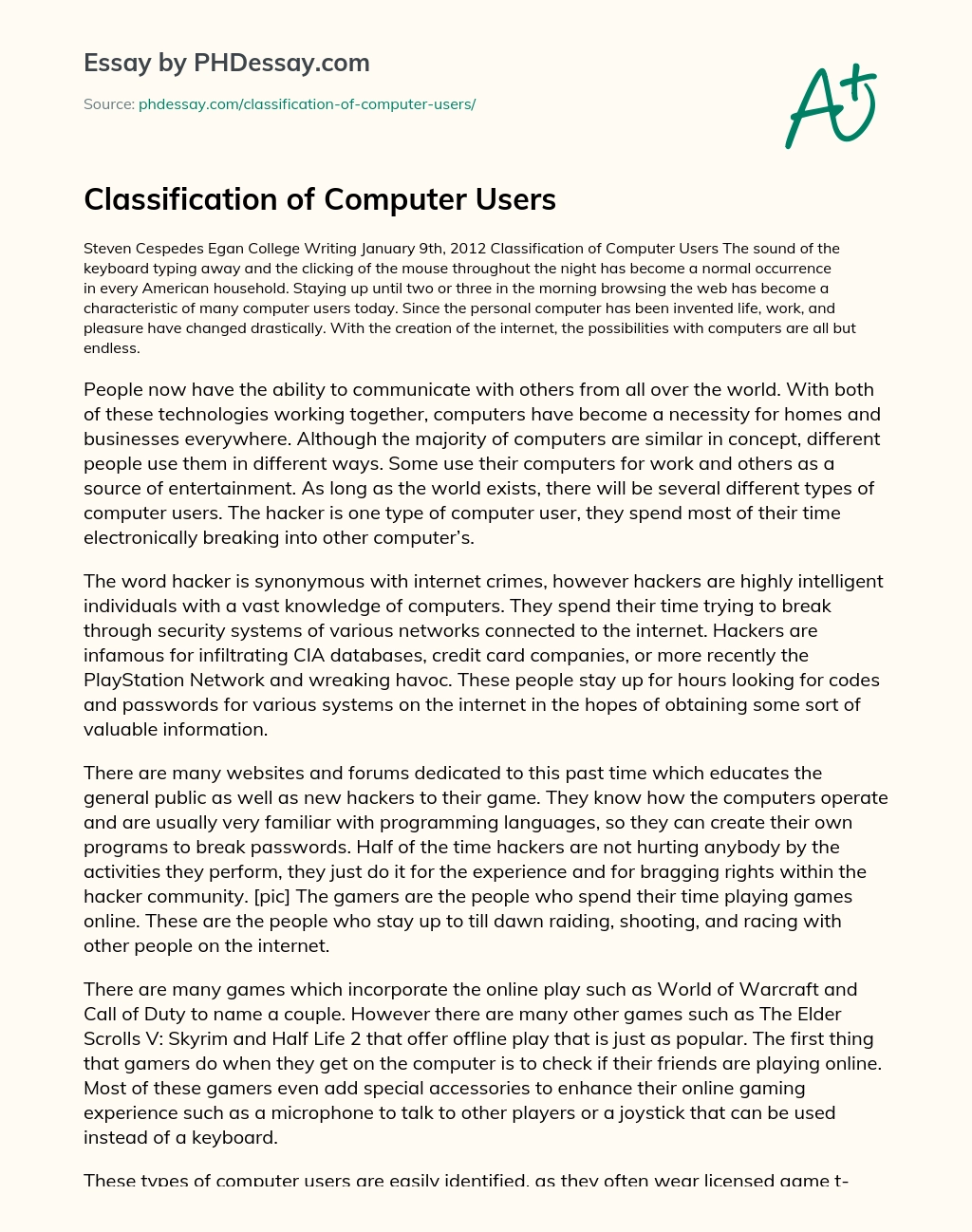 Classification of Computer Users essay