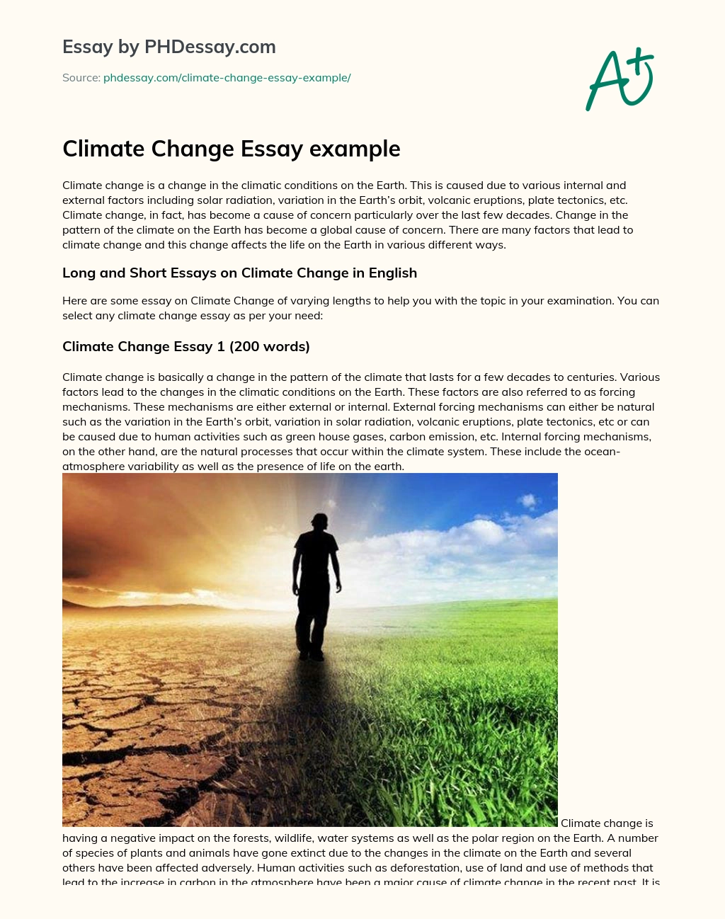 Climate Change Essay example essay