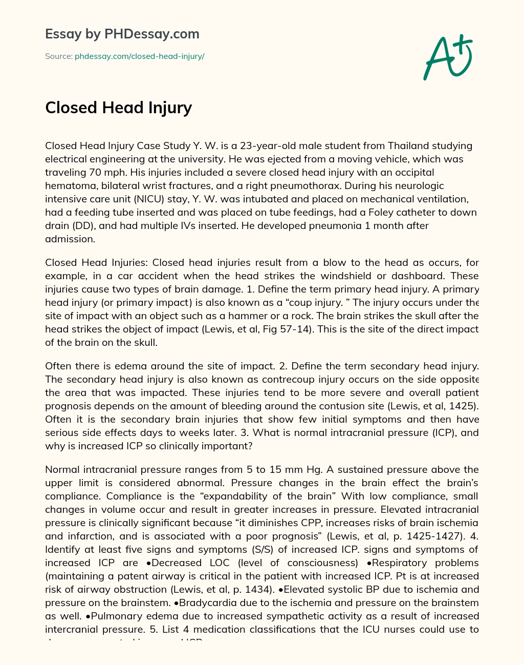 Closed Head Injury essay