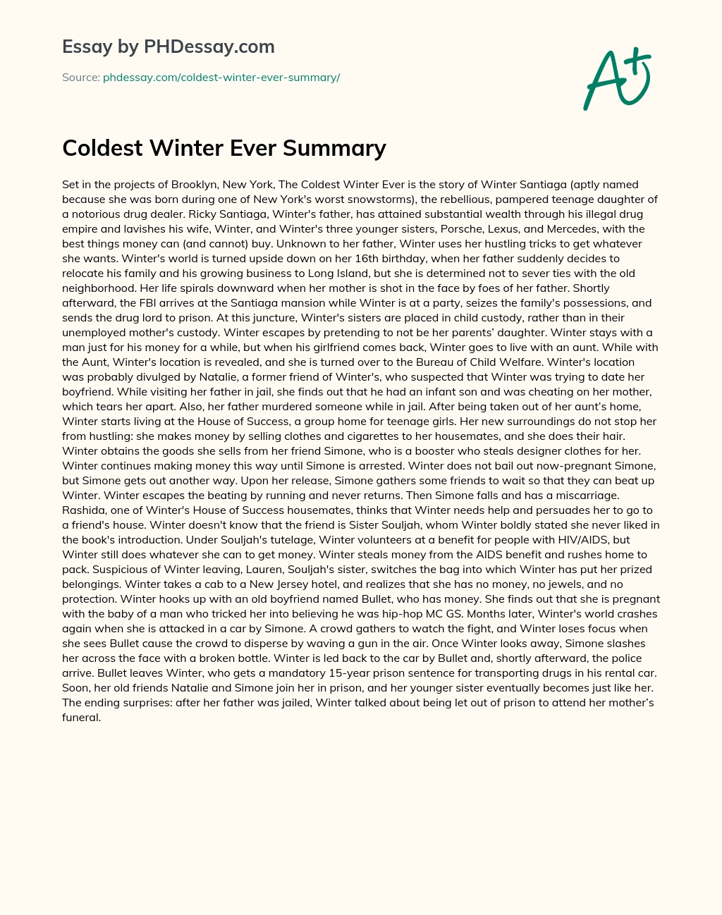 Coldest Winter Ever Summary essay