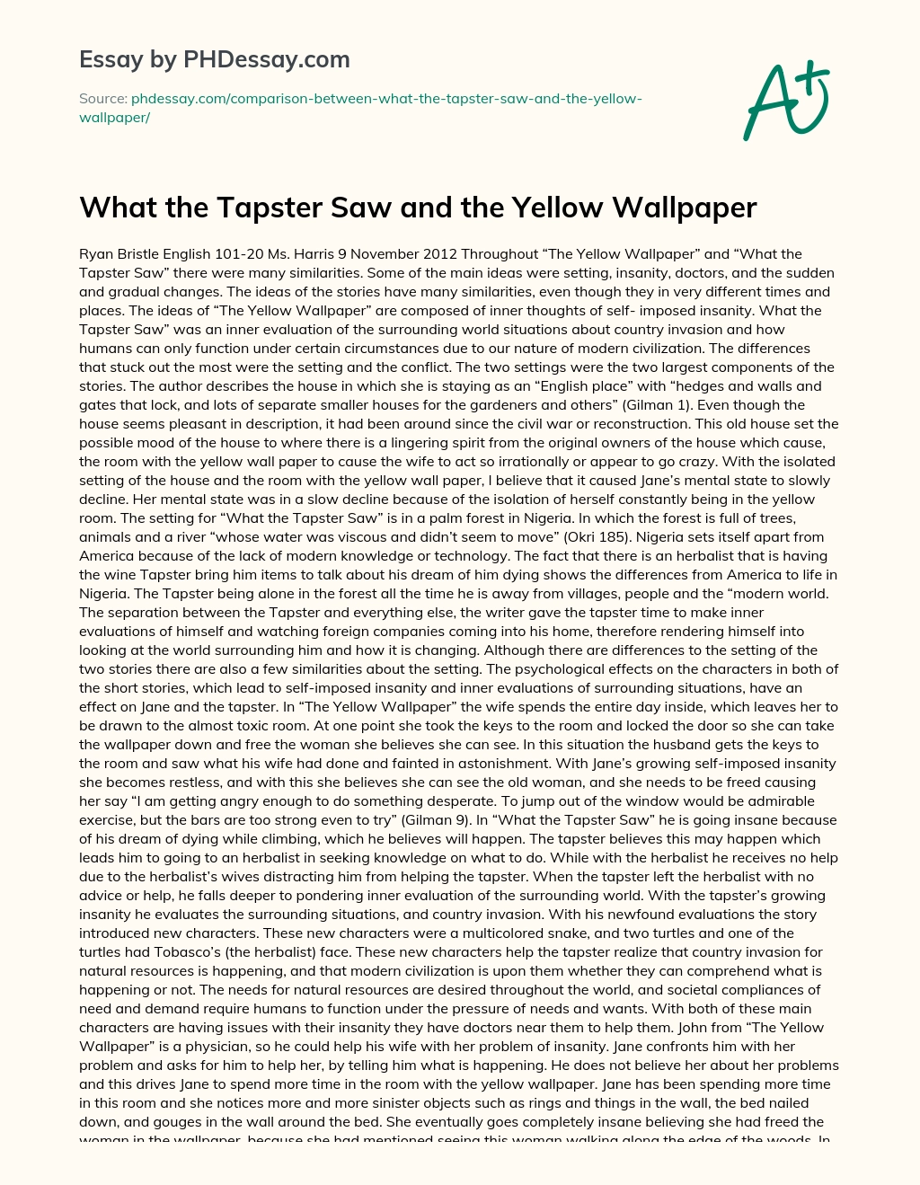 What the Tapster Saw and the Yellow Wallpaper essay