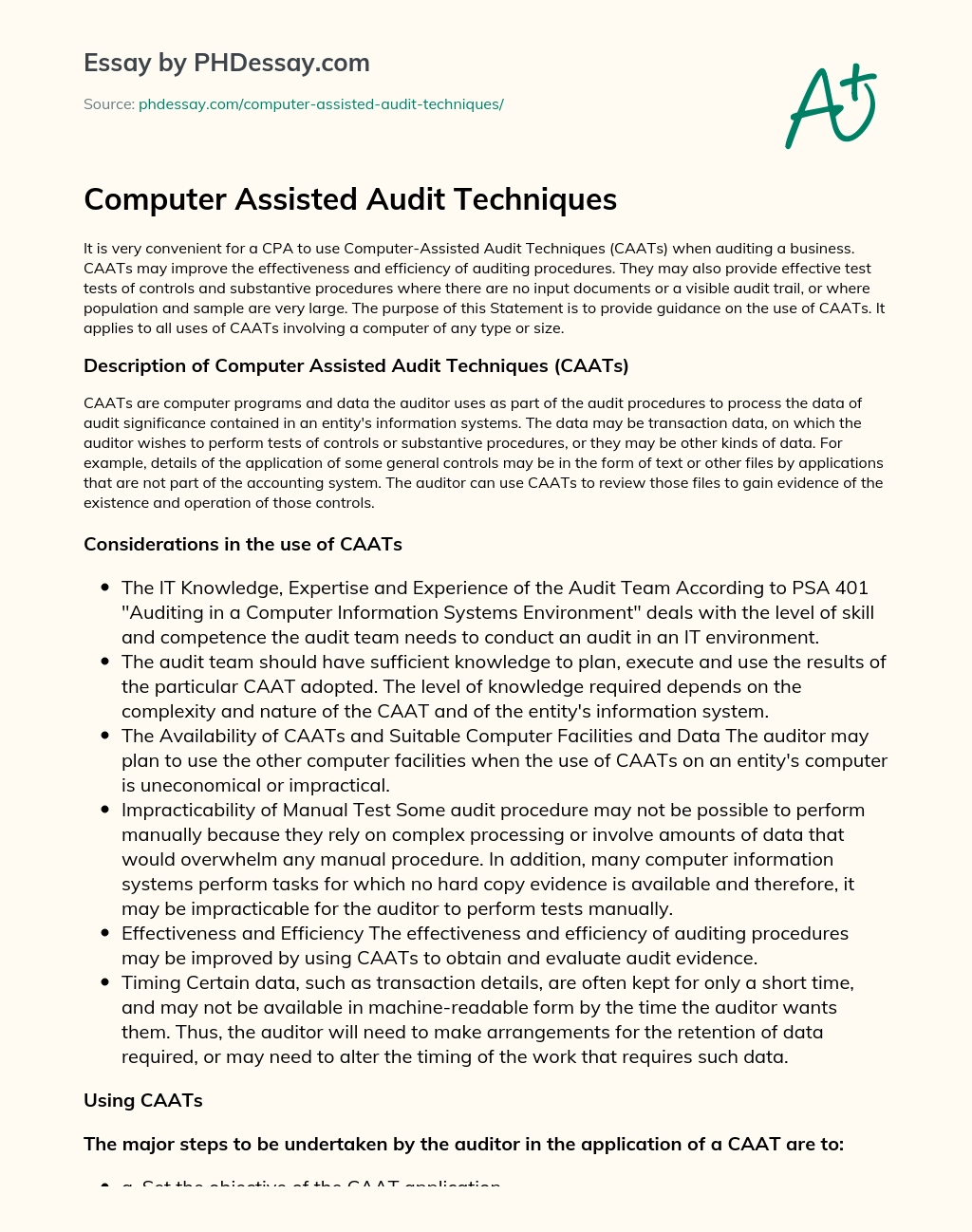 Computer Assisted Audit Techniques essay