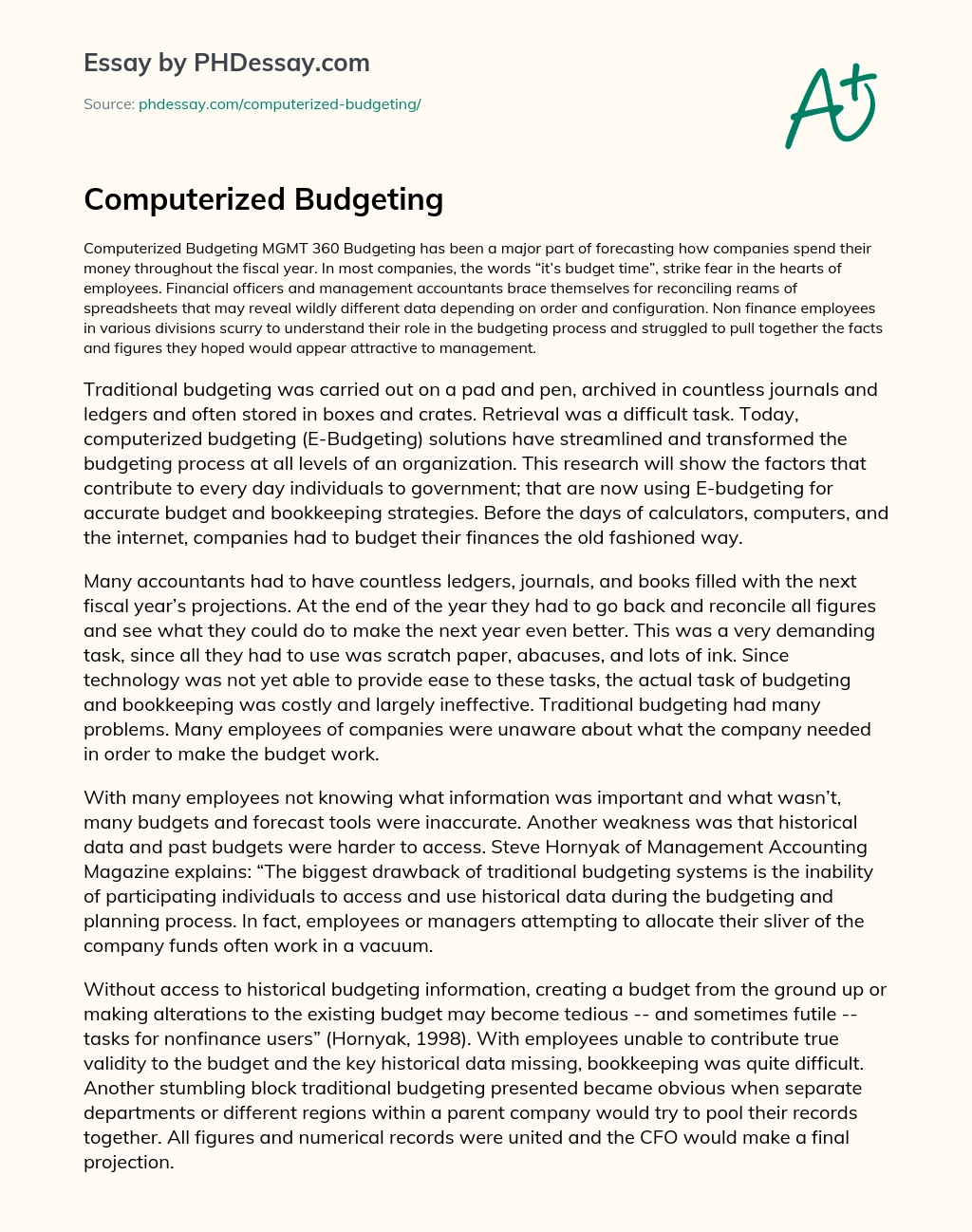 Computerized Budgeting essay