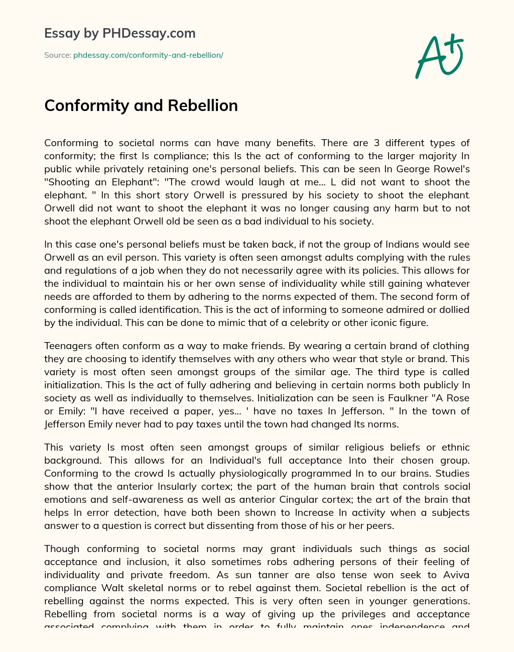 Conformity and Rebellion essay