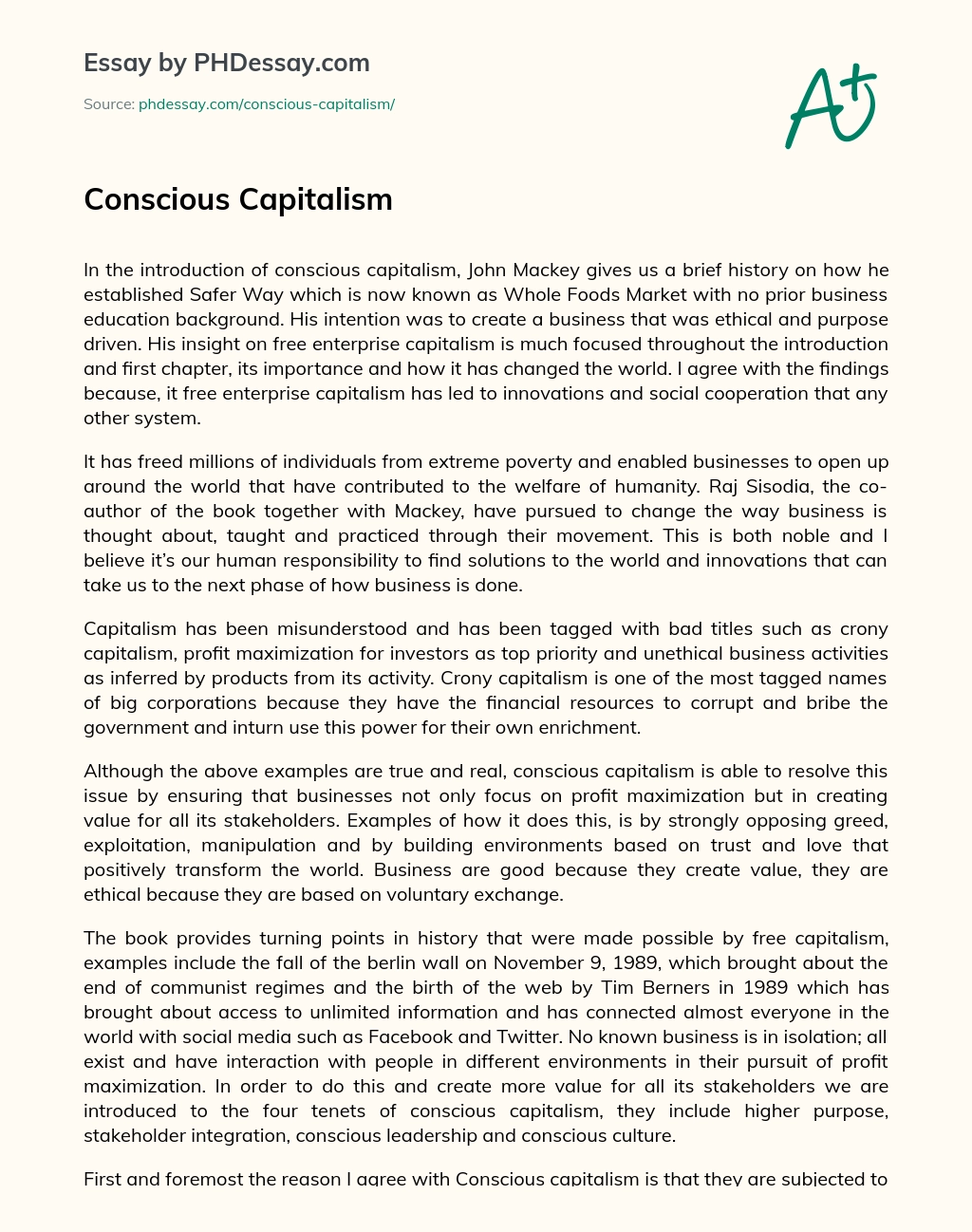 Conscious Capitalism essay