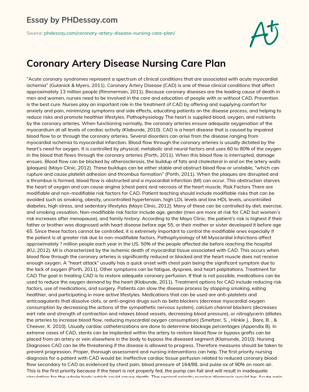 Coronary Artery Disease Nursing Care Plan essay