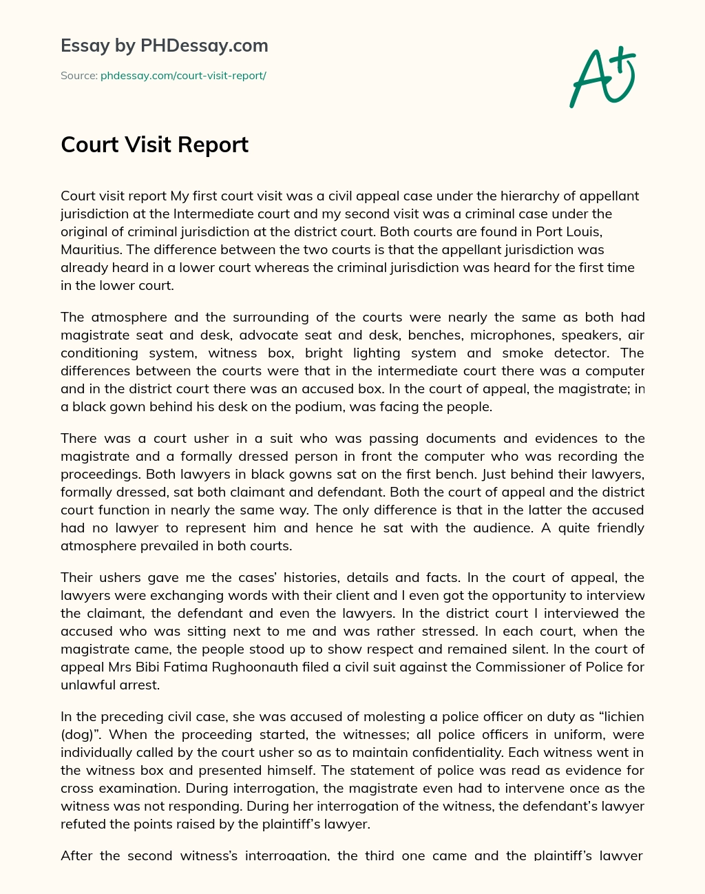 Court Visit Report essay