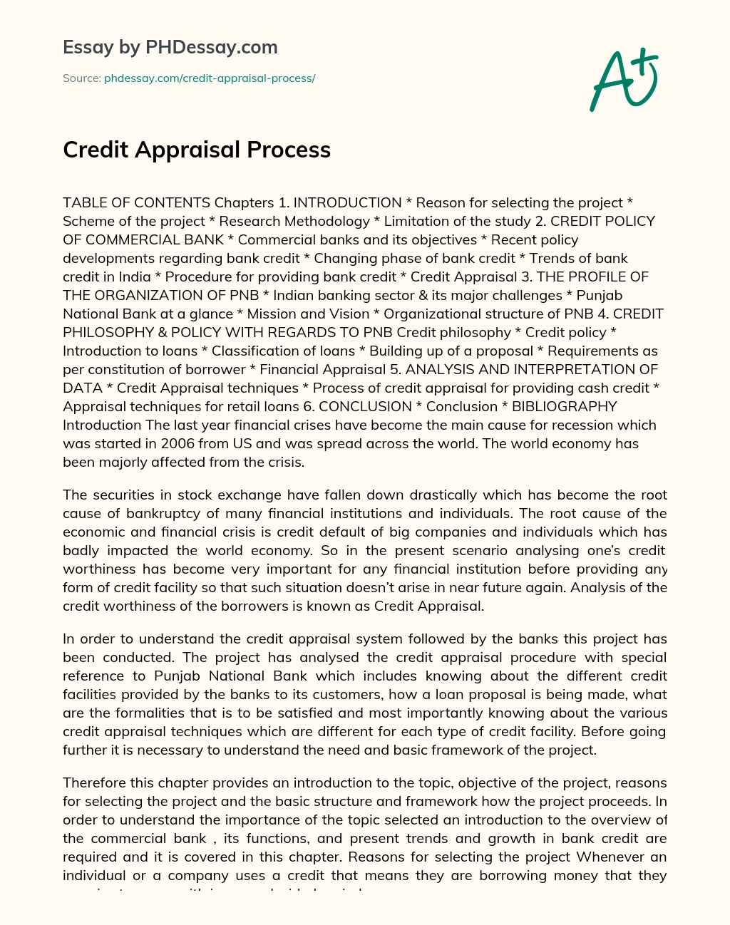 Credit Appraisal Process essay