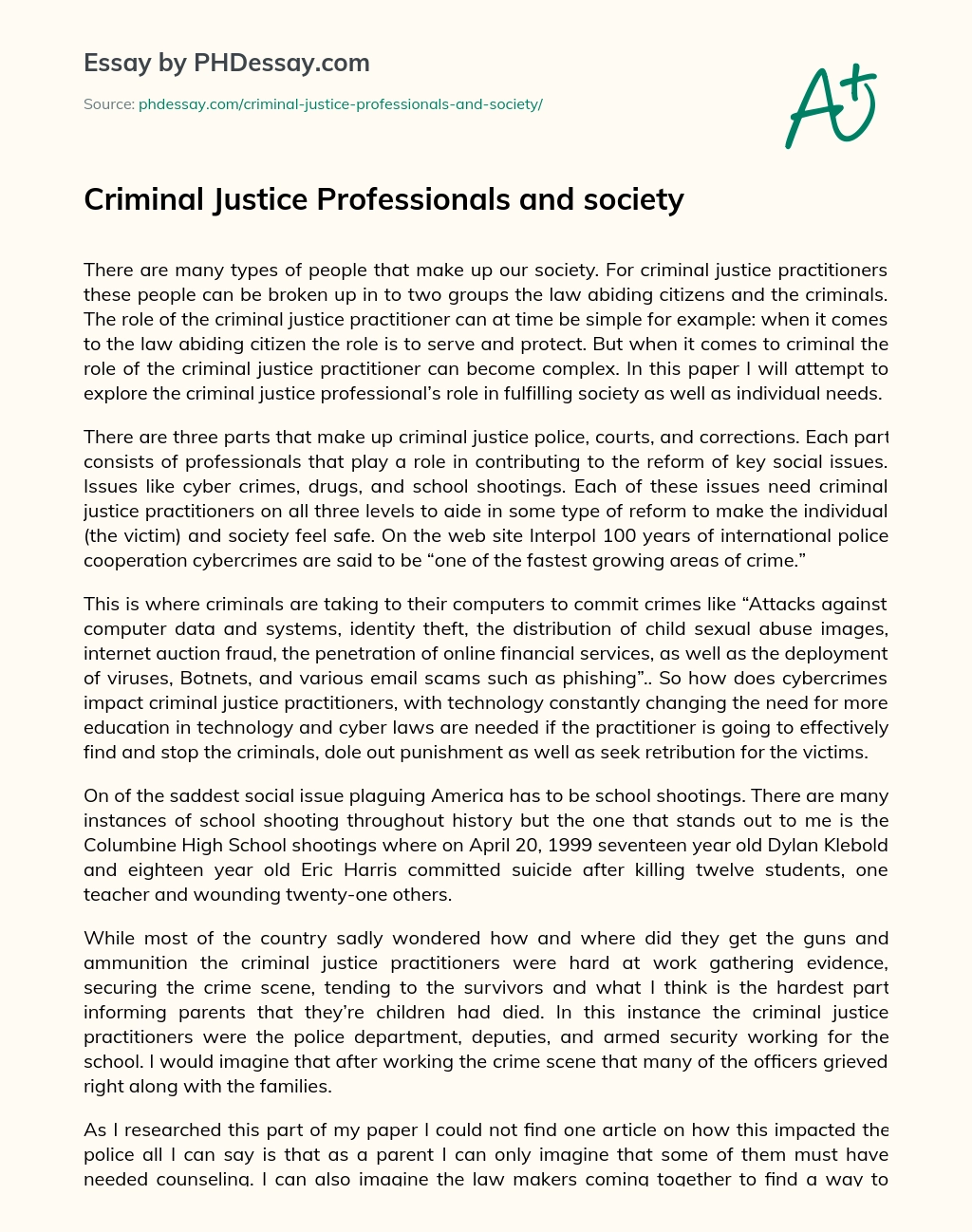 Criminal Justice Professionals and society essay