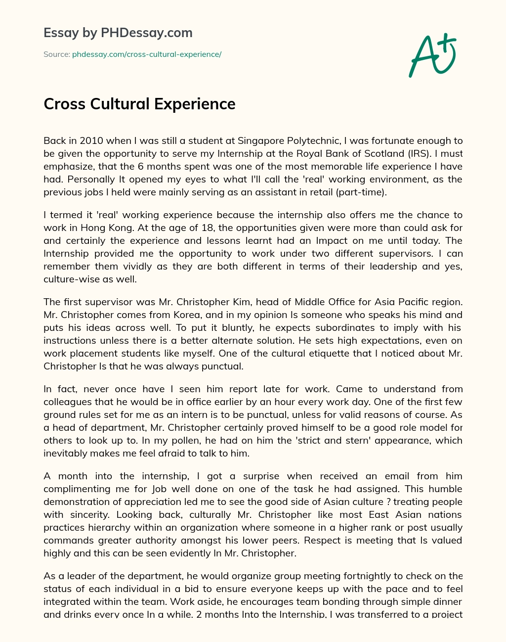 Cross Cultural Experience essay