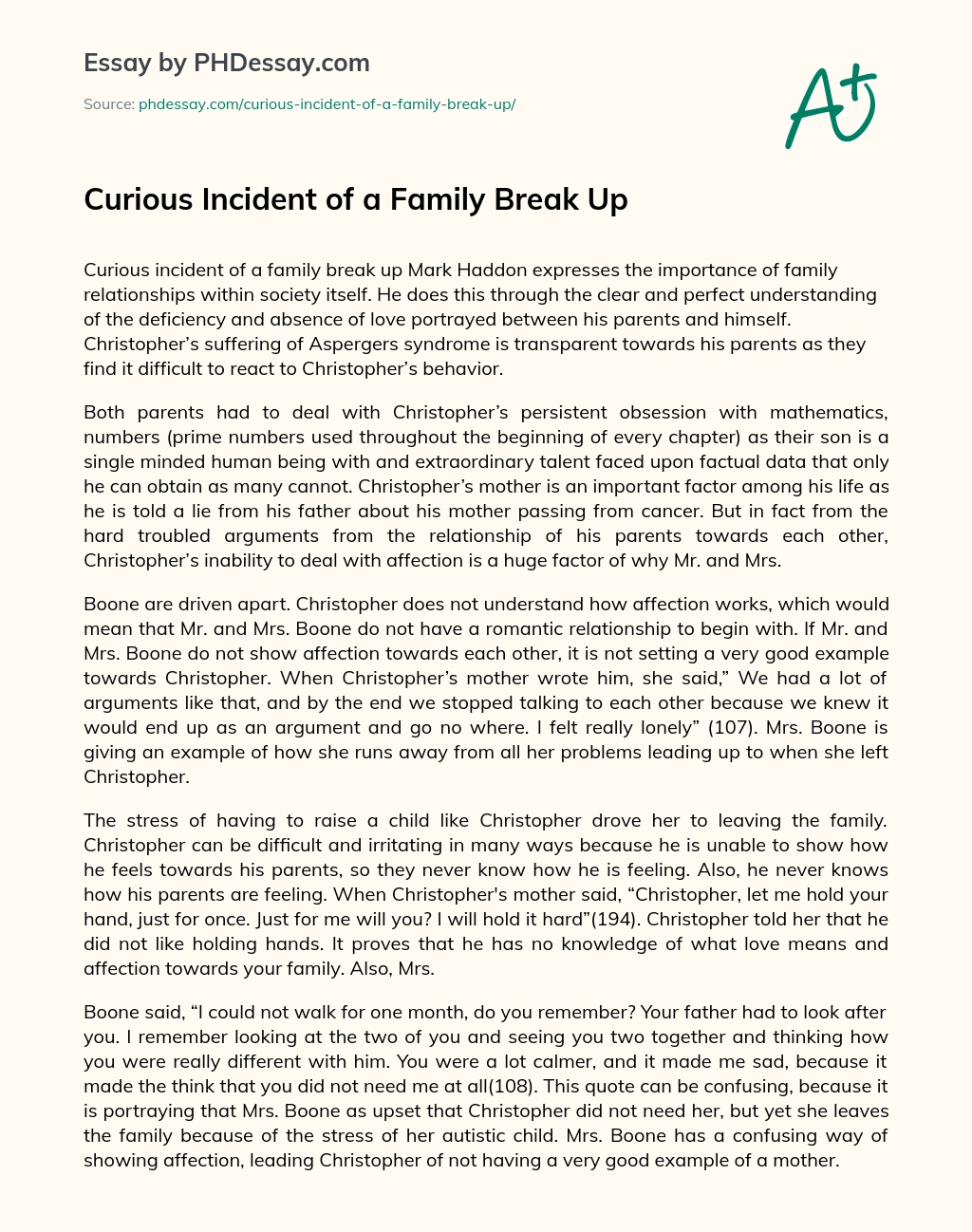 Curious Incident of a Family Break Up essay