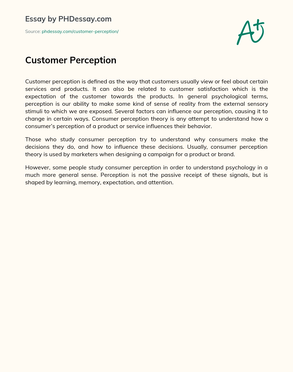 Customer Perception essay