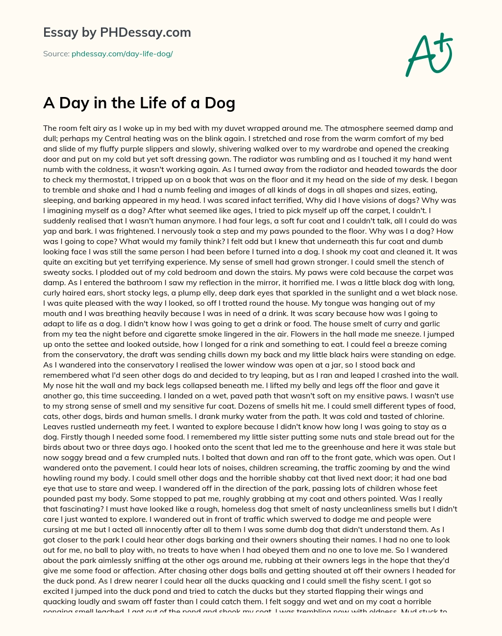 A Day in the Life of a Dog essay