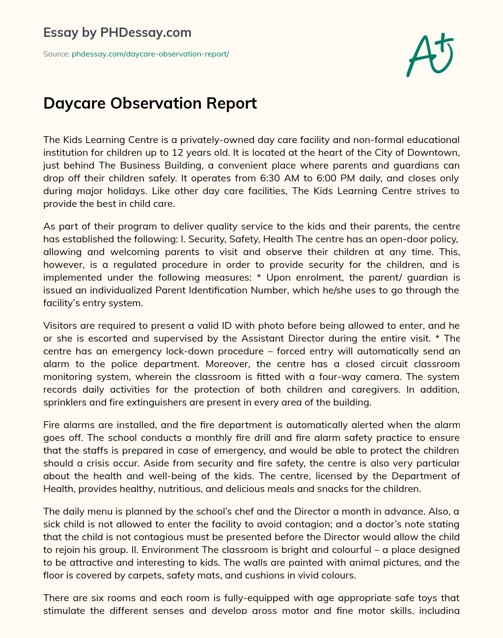 Daycare Observation Report essay