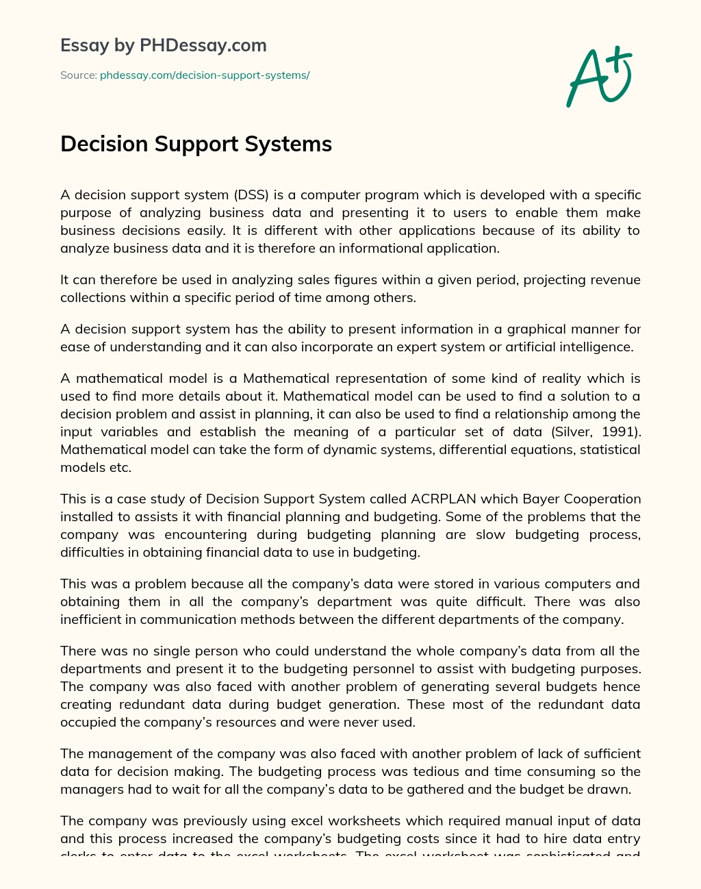 Decision Support Systems essay