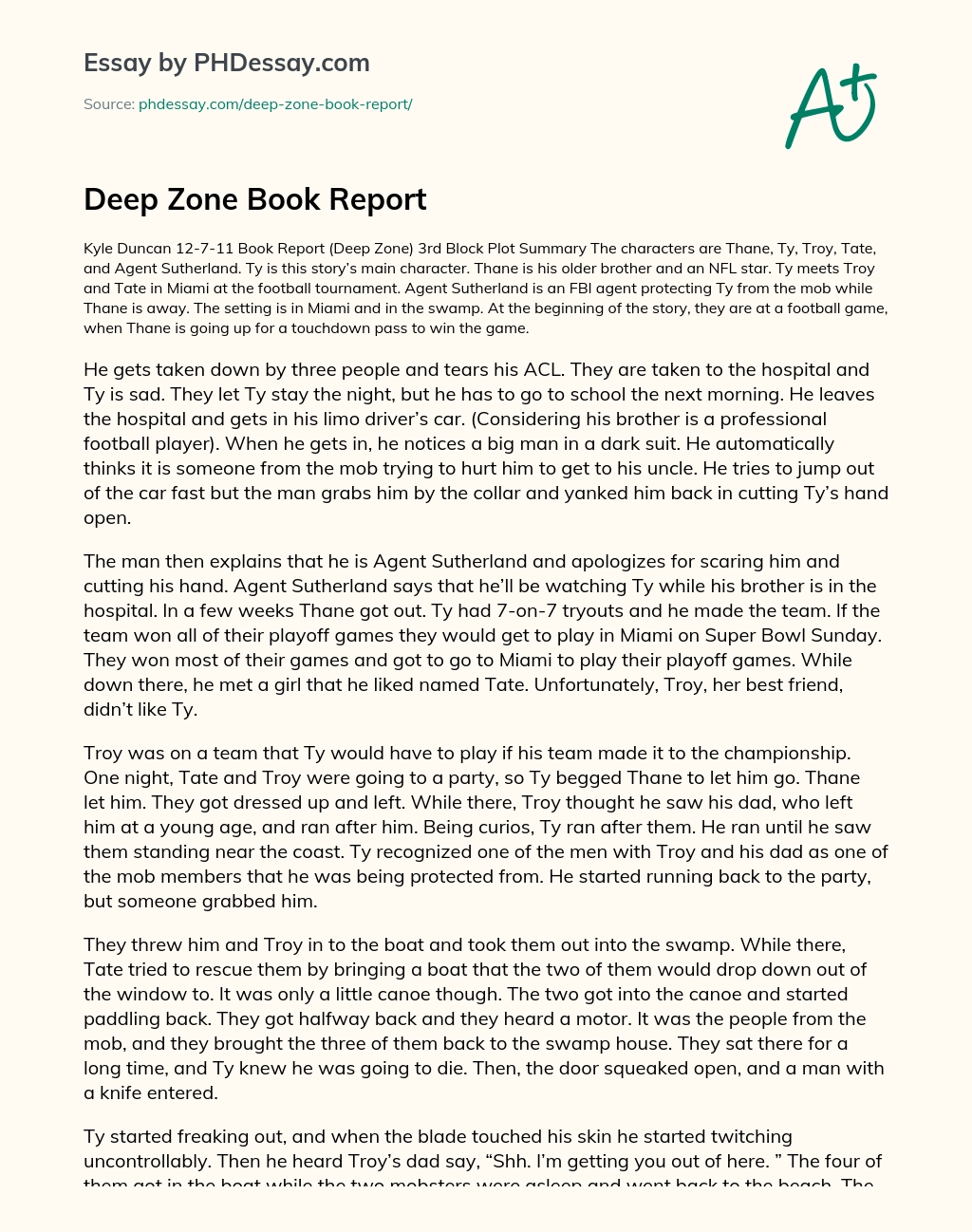 Deep Zone Book Report essay