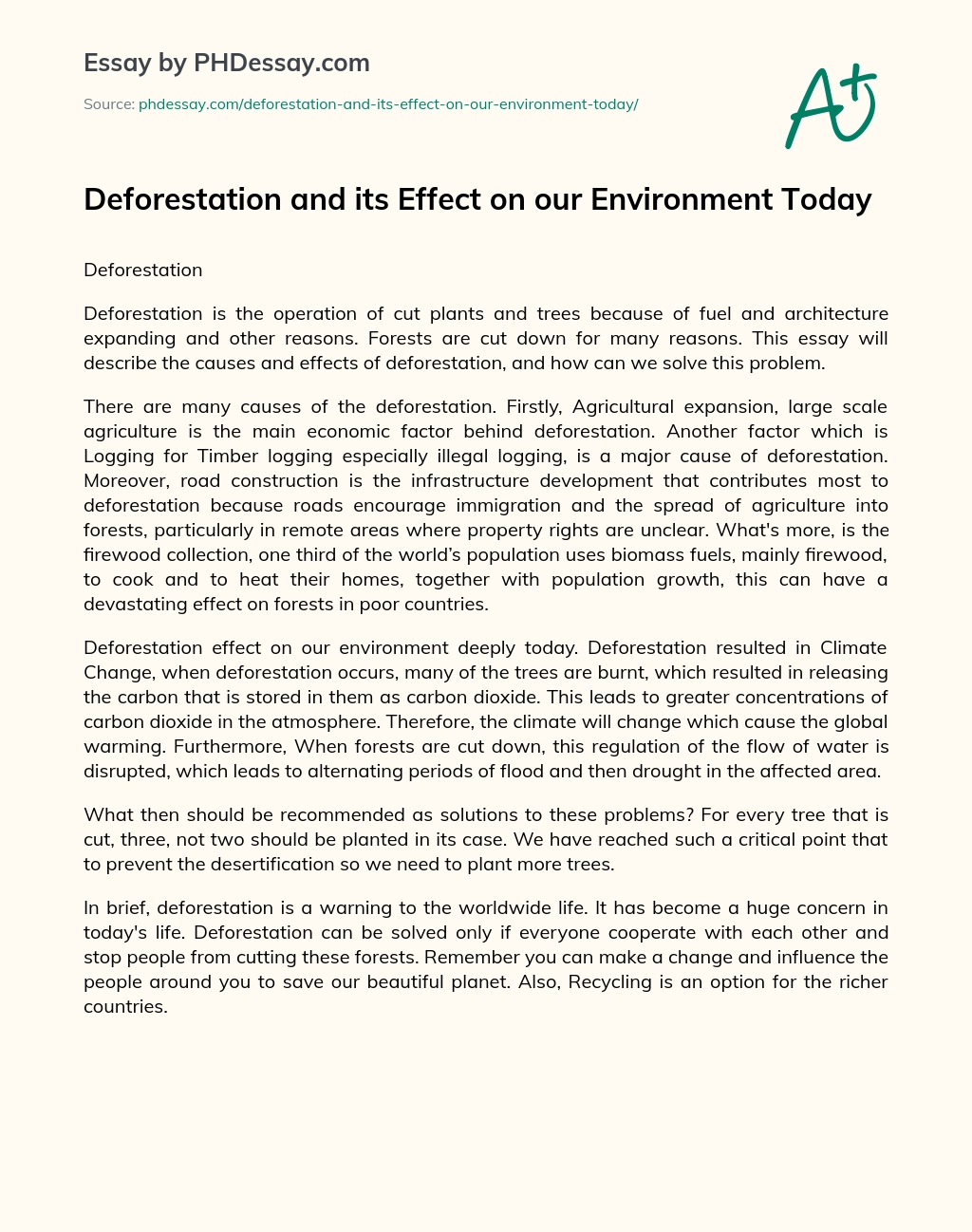 solution for deforestation essay