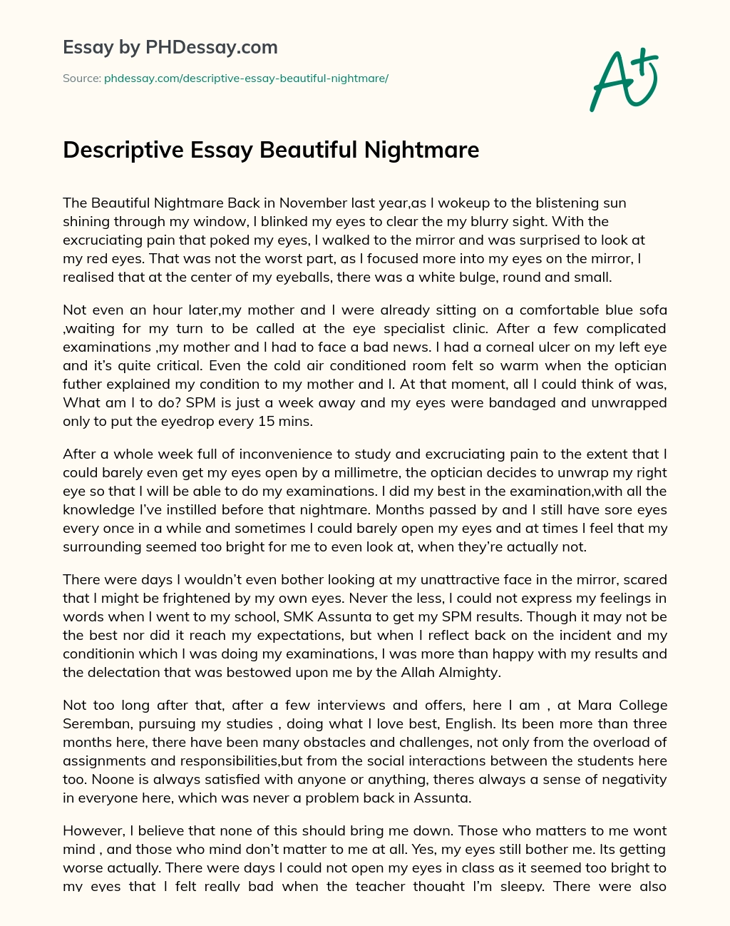 Descriptive Essay Beautiful Nightmare essay