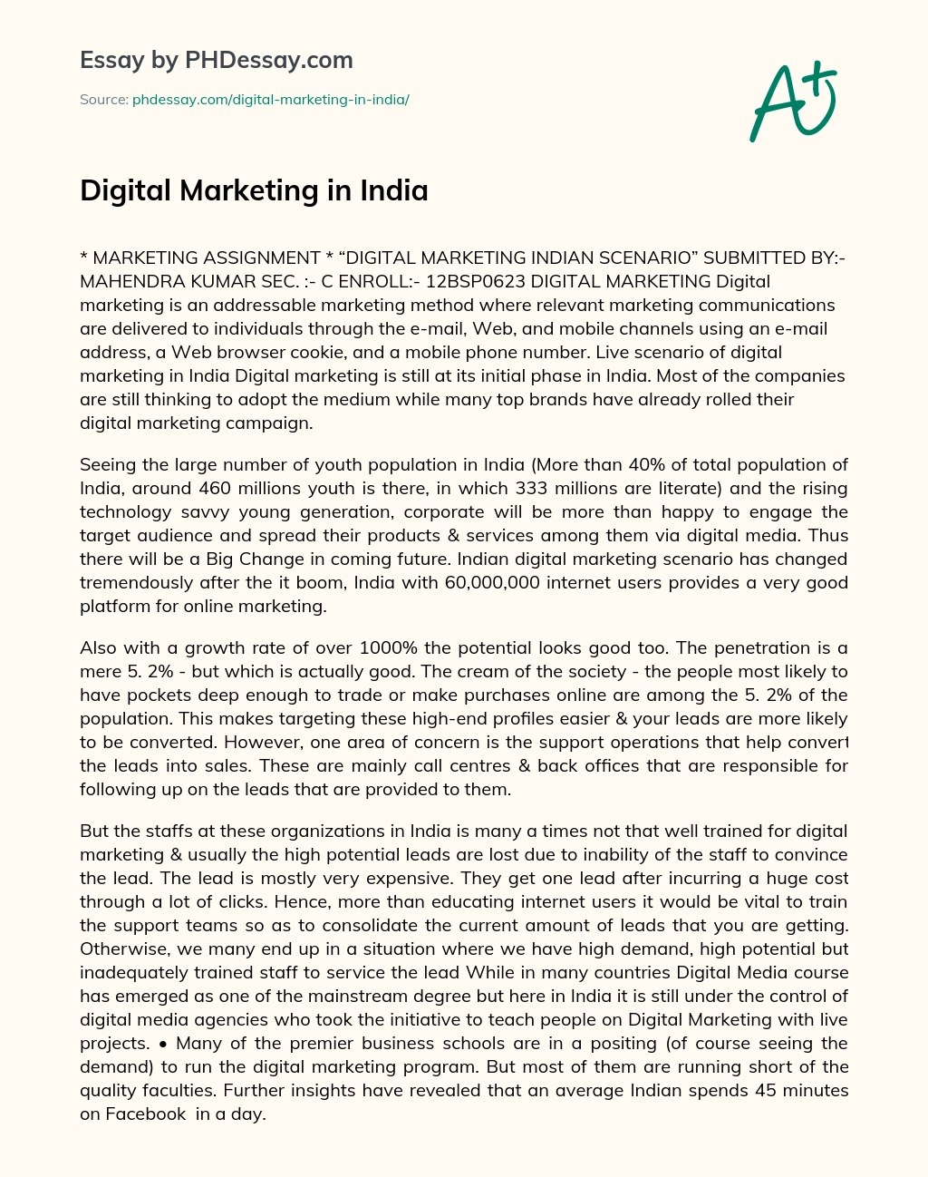 Digital Marketing in India essay