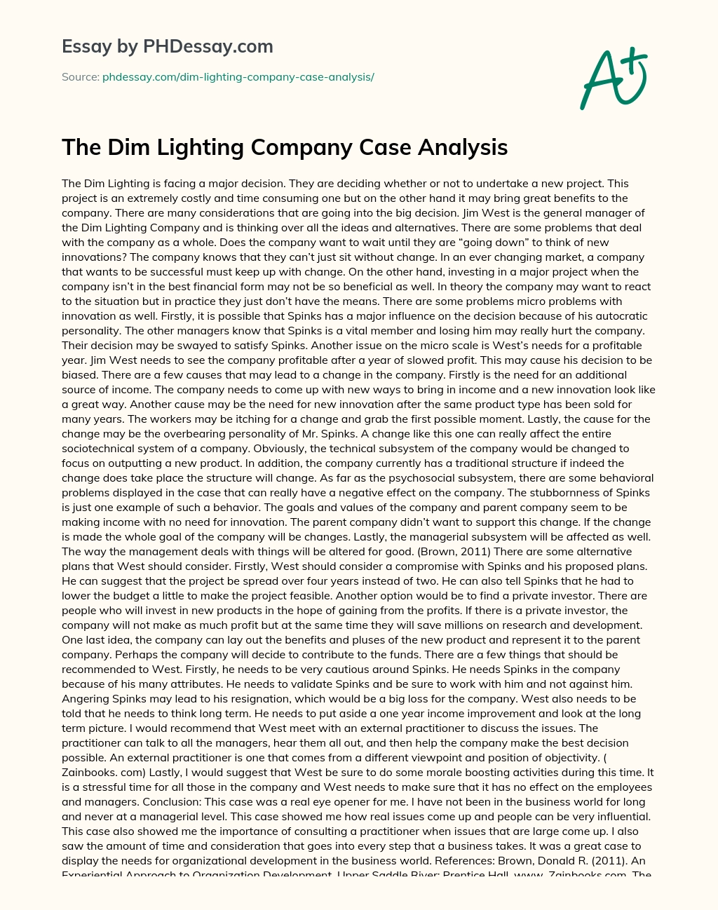 The Dim Lighting Company Case Analysis essay