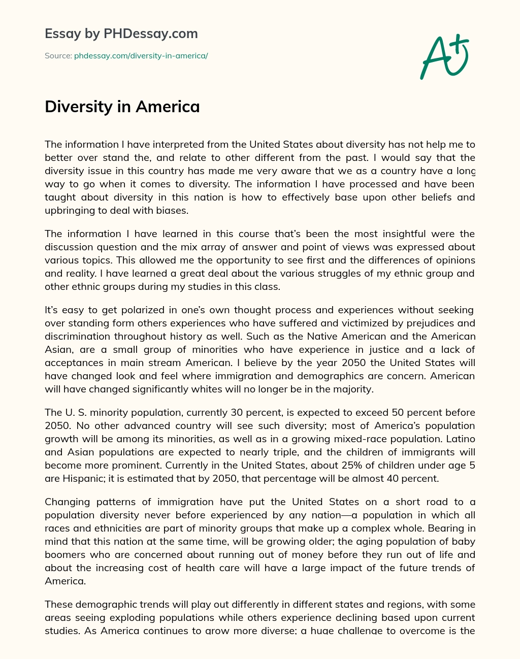 Diversity in America essay