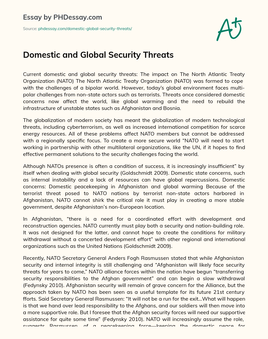 Domestic and Global Security Threats essay