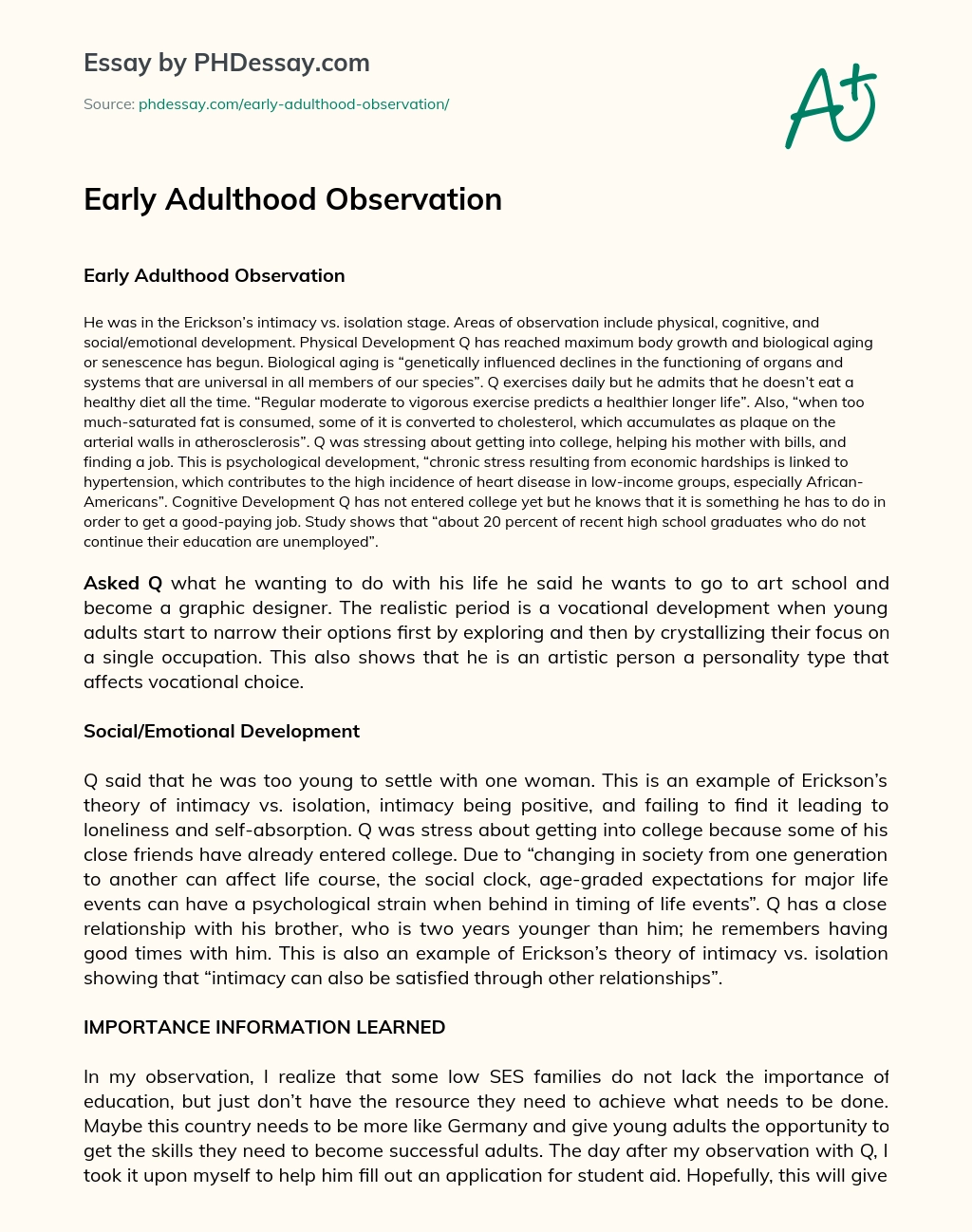 Early Adulthood Observation essay
