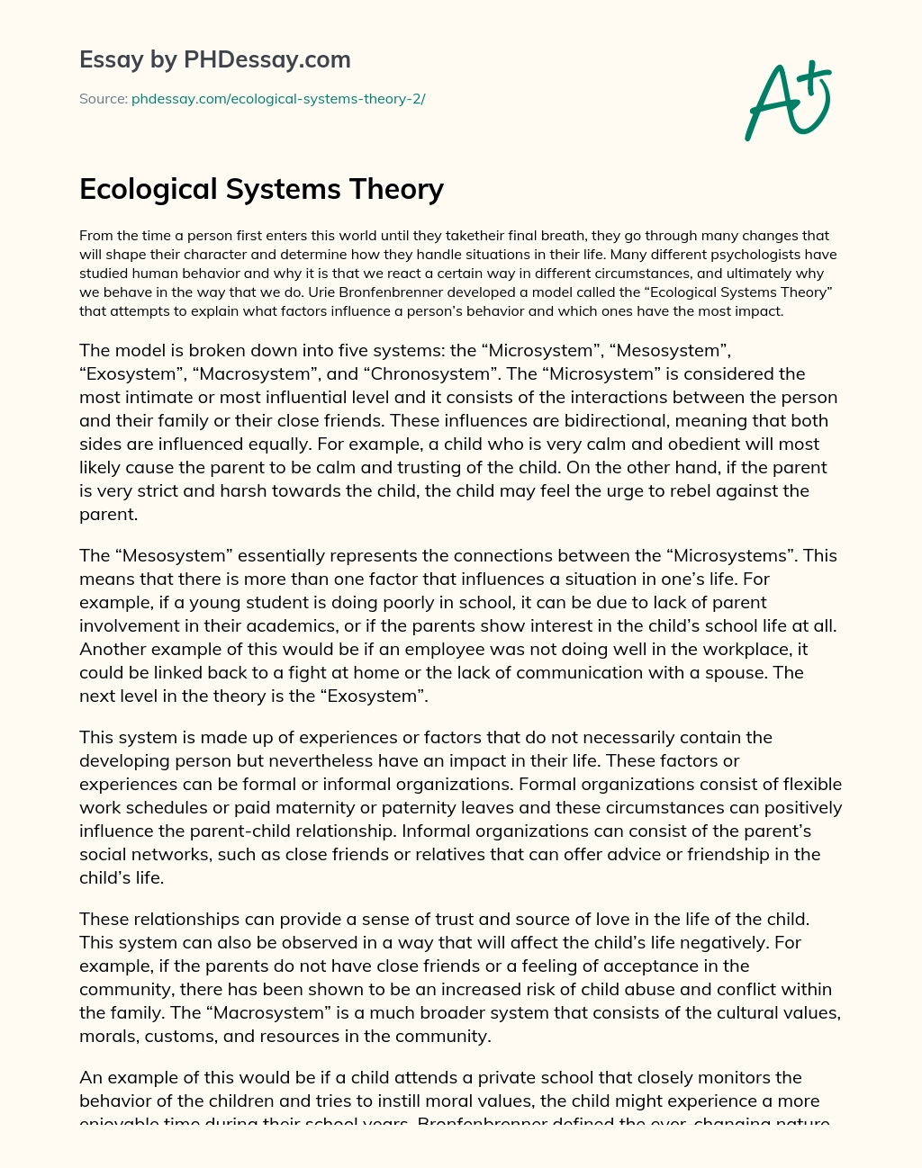 Ecological Systems Theory essay