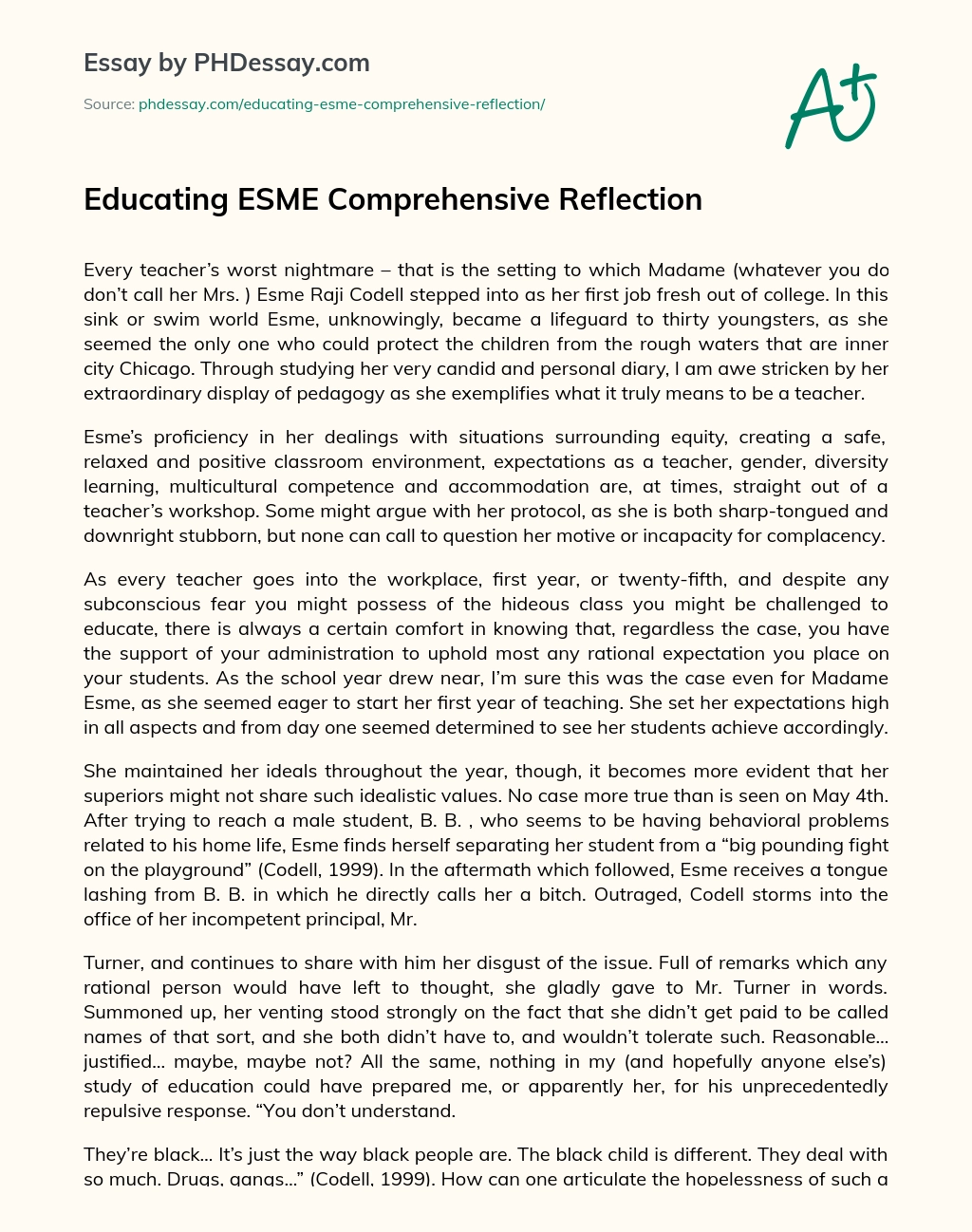 Educating ESME Comprehensive Reflection essay